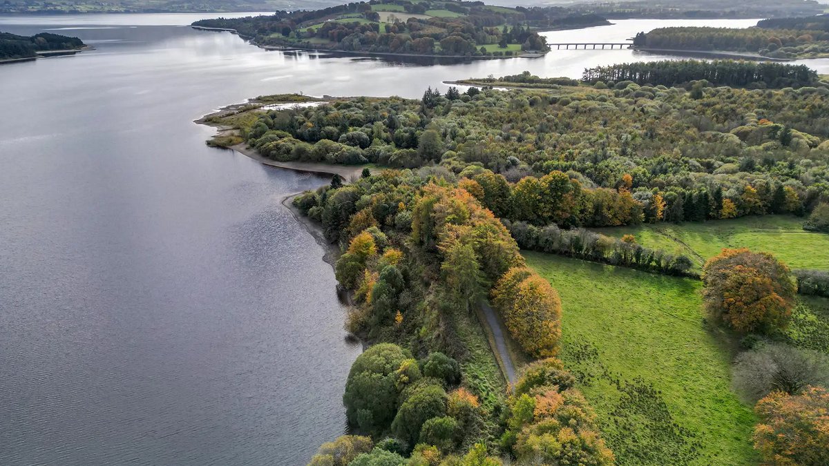 Ballyfin - Photo 5