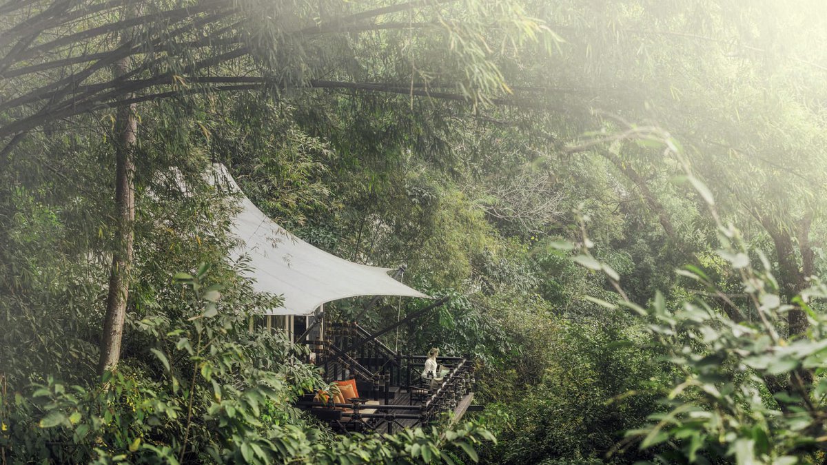 Four Seasons Tented Camp Golden Triangle - Photo 5