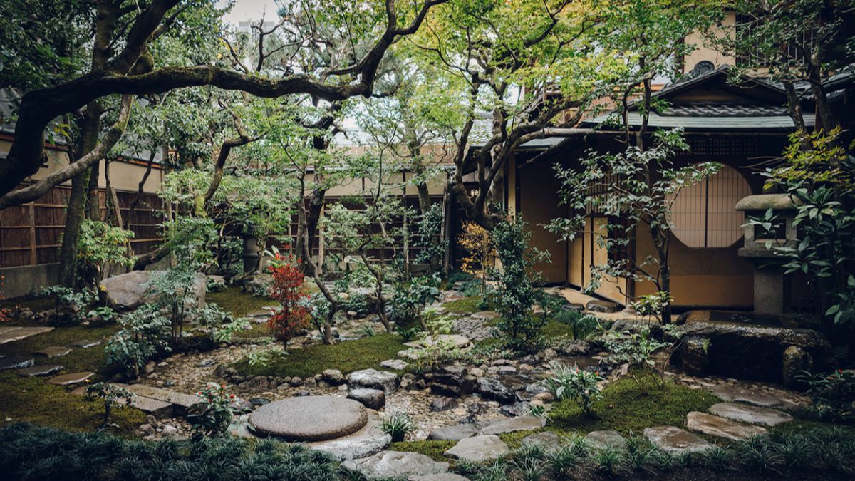 Sowaka - Photo 1