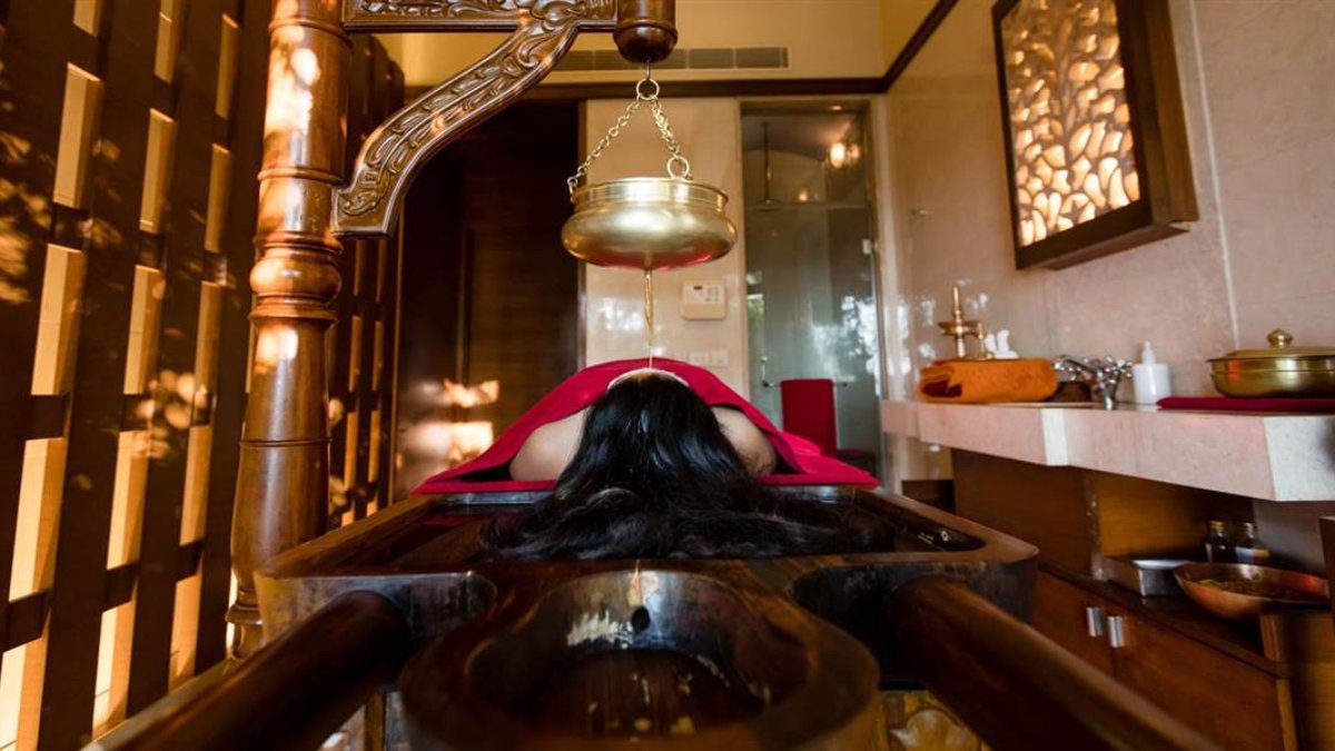 Ananda in the Himalayas - Photo 11